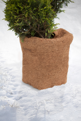 Frostschutz / Winterschutzmatte aus Kokos für Pflanzen